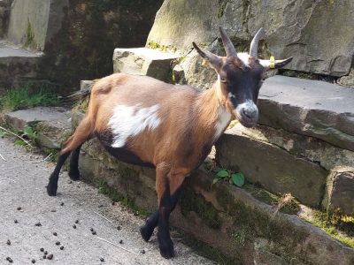 Julia 4×3 Julia 4x3